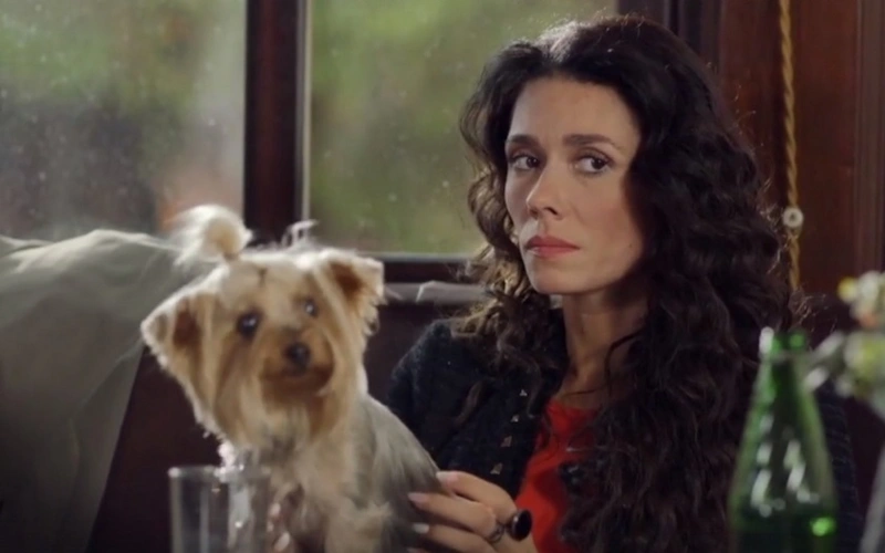 Кадр из сериала «Стряпуха» 