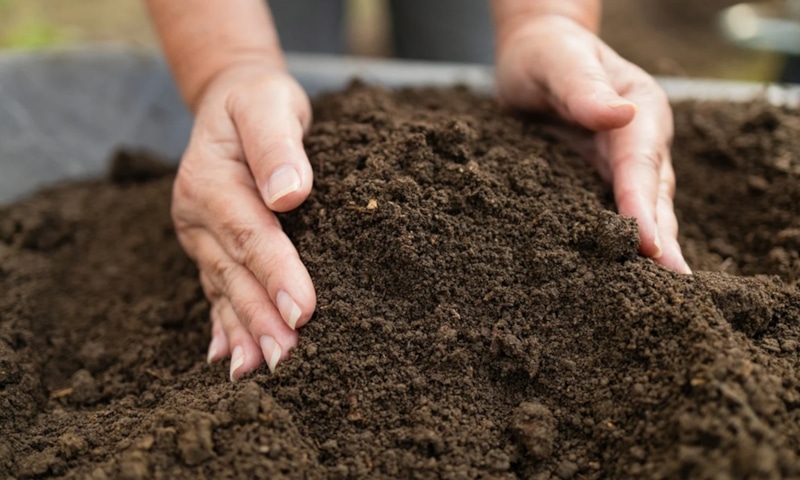 Рассада зимой: подготовка грунта Рассада зимой: подготовка грунта
