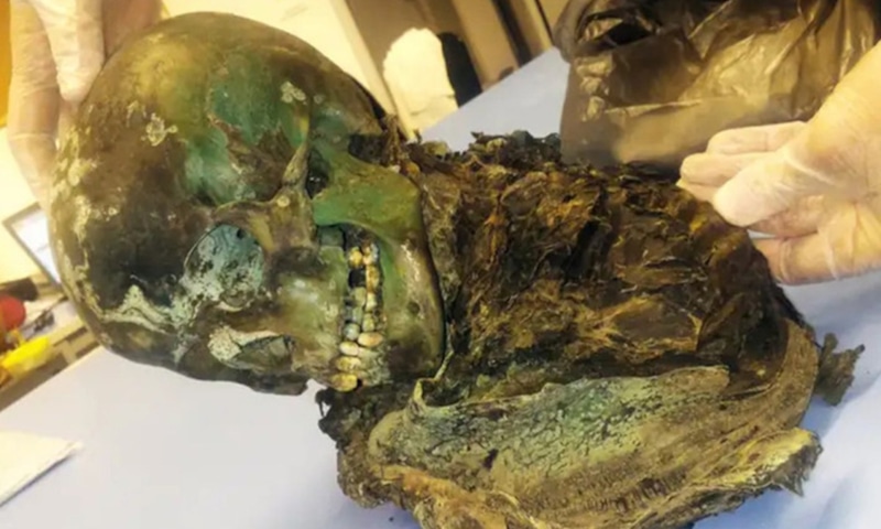 Медное чудо: зеленые останки в саркофаге