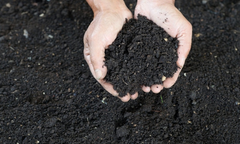 Черный пар: отдых для почвы