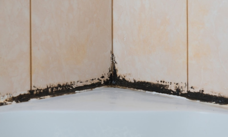 Ванная комната: чистые плиточные швы Ванная комната: чистые плиточные швы