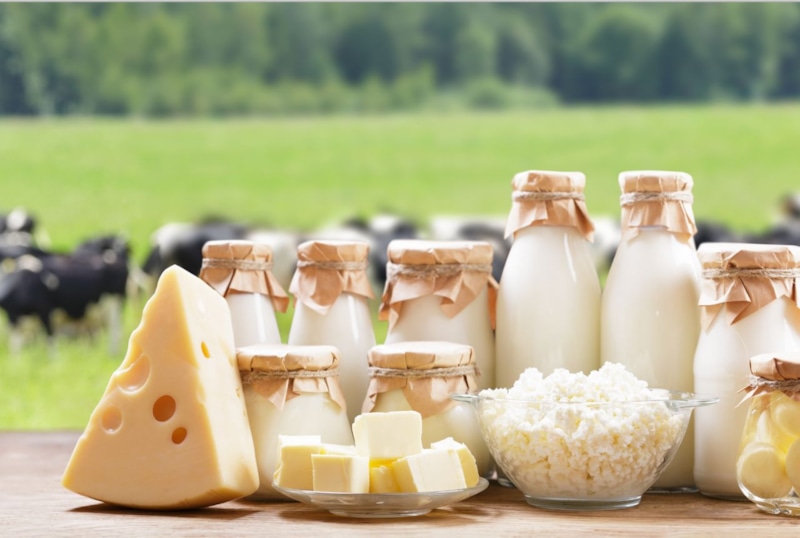 Питание и здоровье: молочные продукты