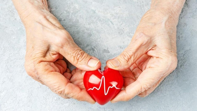 Сердце и сосуды: возрастные изменения