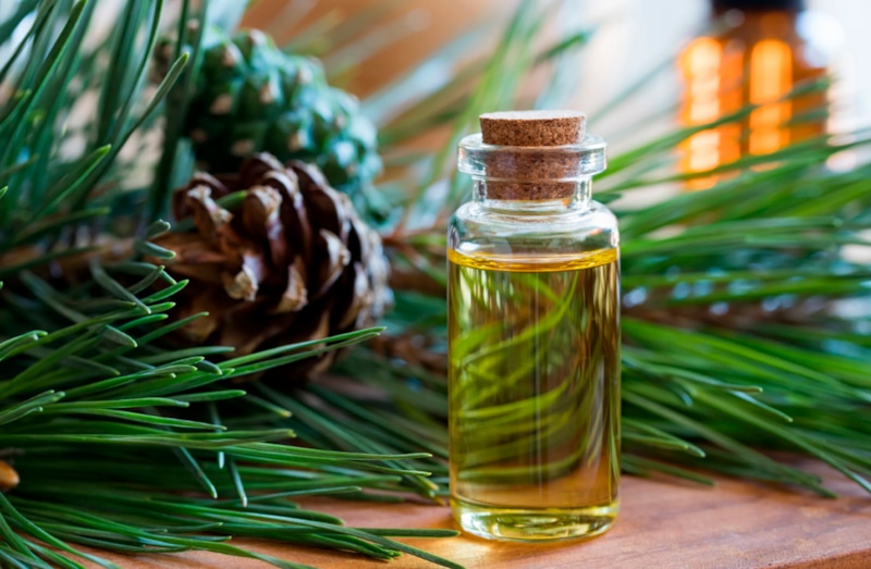 Хвойный аромат дома: новогодний уют