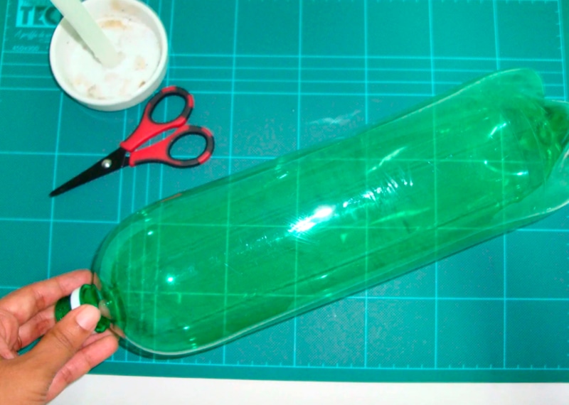 Горшки из бутылок: рассада по линейке