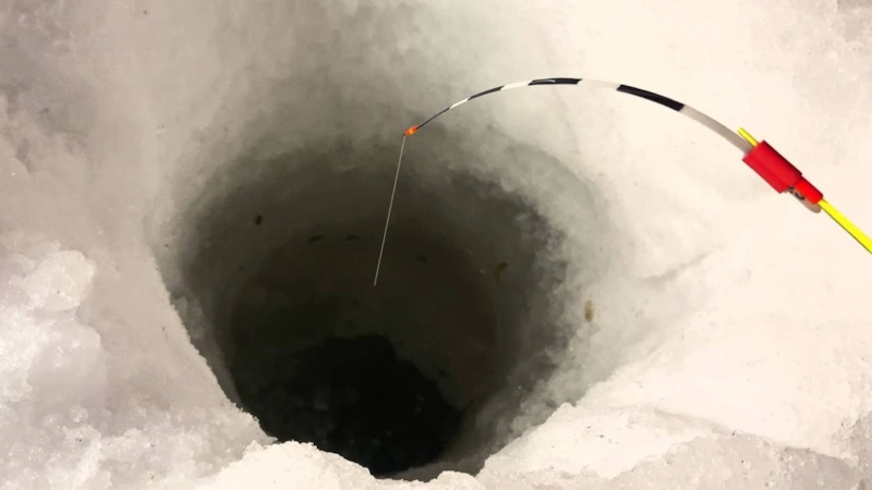 Зимняя леска: правильный выбор