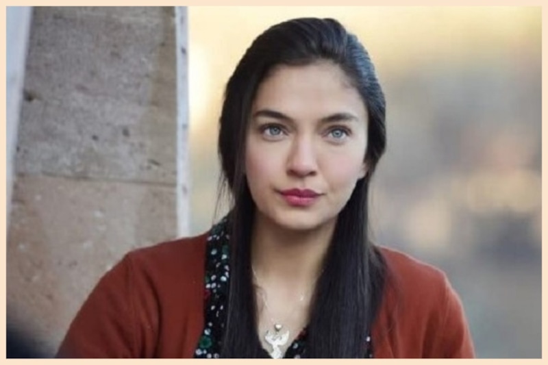 Кадр из сериала «Изумрудный феникс»