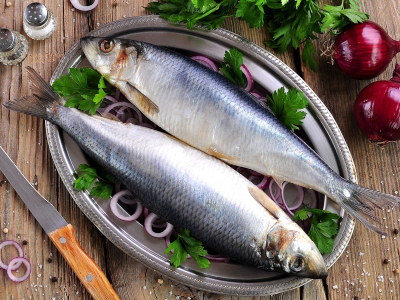 Селедка и здоровье: кому нельзя