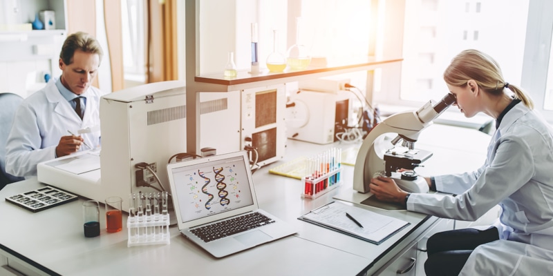 Кишечник и химия: скрытая угроза