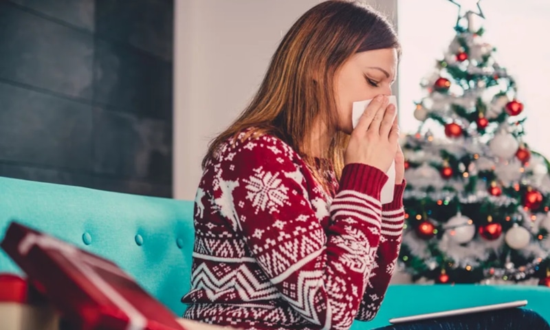 Праздничная ель в комнате: скрытый источник аллергии