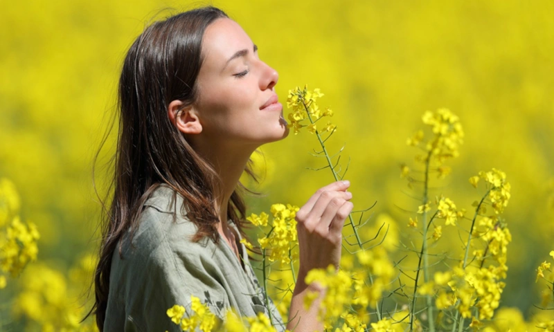 Сенсорные системы человека: мозг и скрытые чувства Сенсорные системы человека: мозг и скрытые чувства