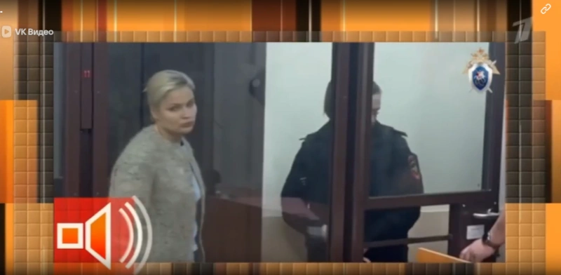 Анна Хоботова в суде