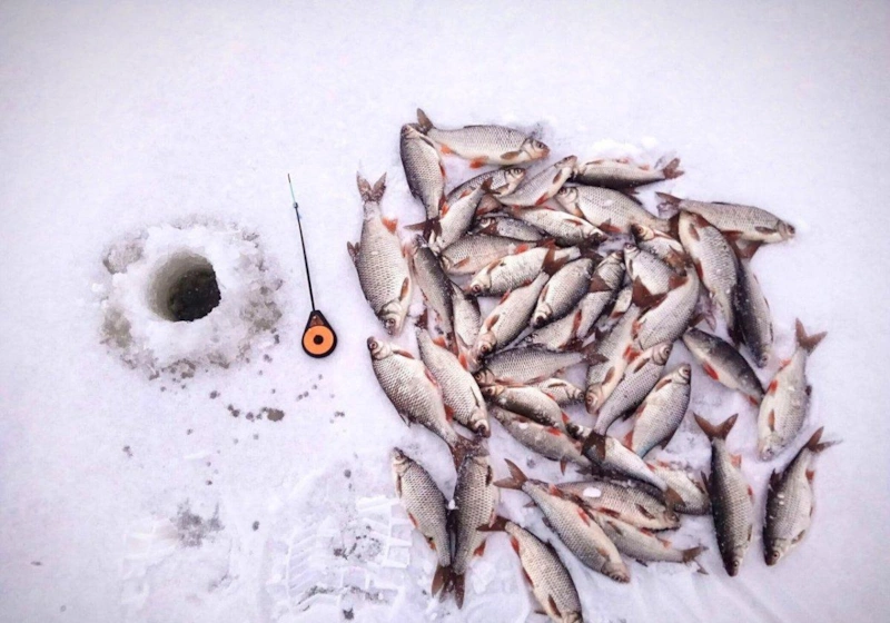 Зимняя рыбалка: плотва на льду