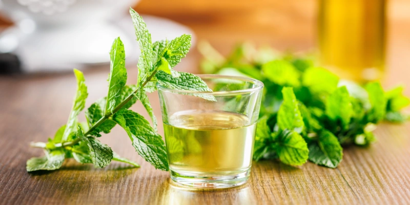 Домашние заготовки: мятный сироп