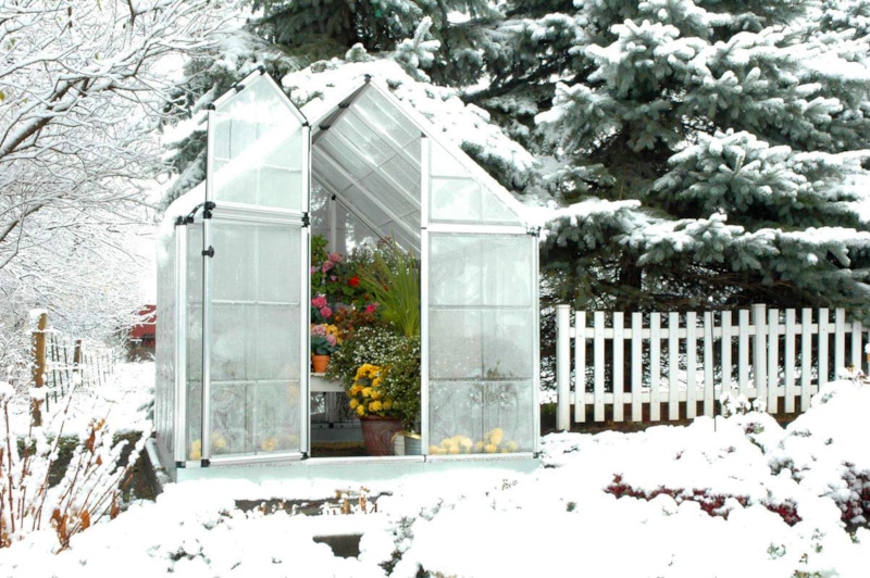 Теплица зимой: урожай без обогрева