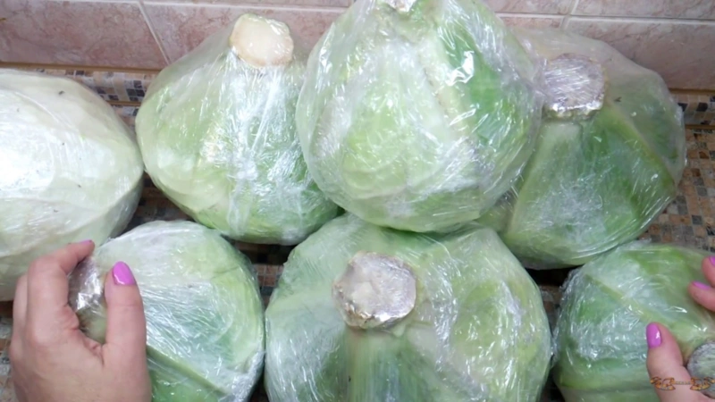 Хранение капусты в квартире: кочаны в упаковке