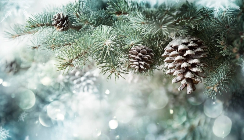 Декабрьские приметы: народный прогноз Декабрьские приметы: народный прогноз