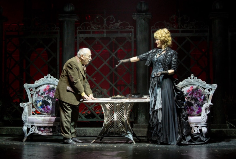 Владимир Сулимов на сцене театра