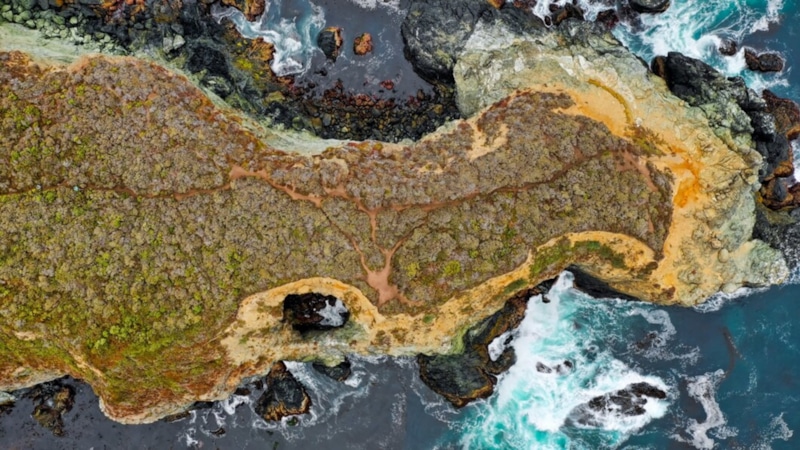 Новый континент: ученые подтвердили существование