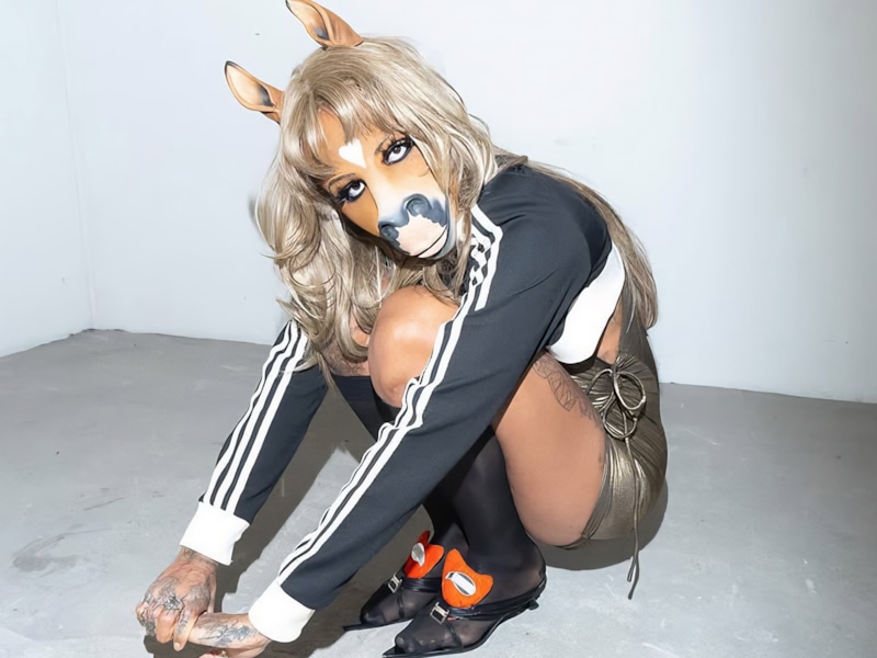 Певица-лошадь HorsegiirL стала главной звездой премии BRIT Awards Певица-лошадь HorsegiirL стала главной звездой премии BRIT Awards