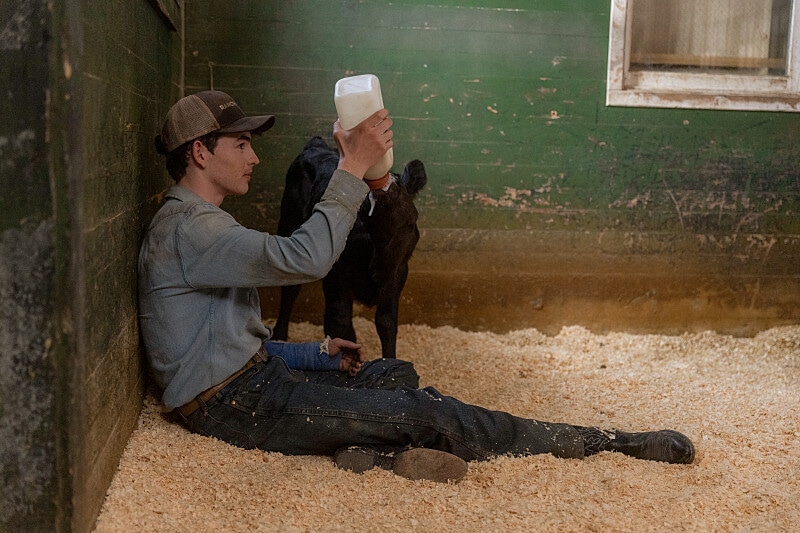 Финн Литтл в сериале «Йеллоустоун»