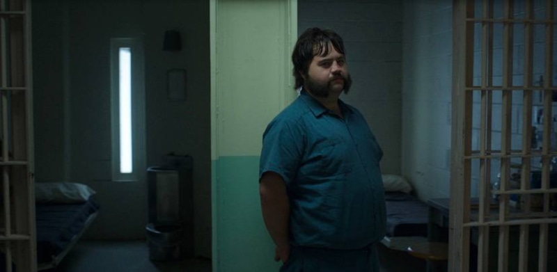 Пол Уолтер Хаузер в сериале «Черная птица»