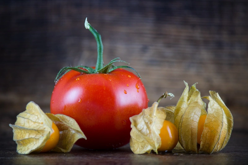 Салат с изюминкой: физалис и зелень Салат с изюминкой: физалис и зелень