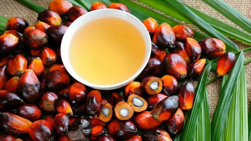 Пальмовое масло: в чем правда