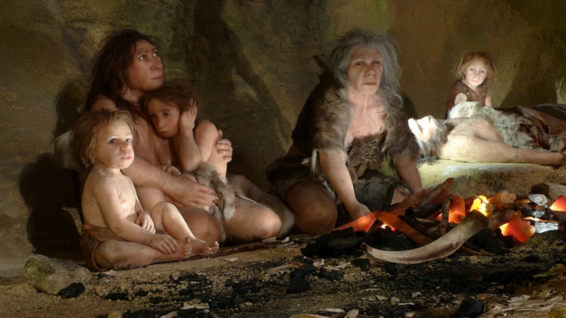 Сумка-переноска эпохи неолита: зубы собак