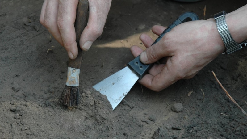 Амулет из трилобита: 400 млн лет Амулет из трилобита: 400 млн лет