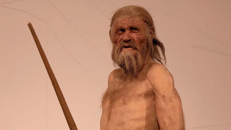 Мумия Эци: генетическая загадка ледяного человека Мумия Эци: генетическая загадка ледяного человека