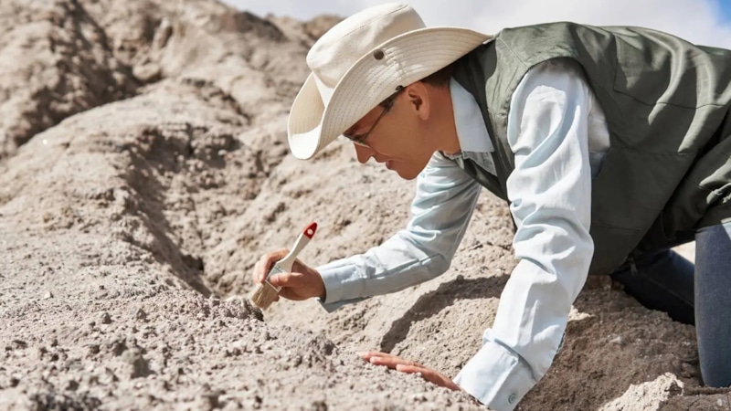 Клад XVII века: монеты войны Клад XVII века: монеты войны