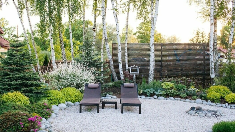 Быстрорастущие деревья для дачи: создаем тень за 2 года Быстрорастущие деревья для дачи: создаем тень за 2 года