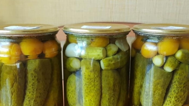 Хрустящие огурцы: с алычой