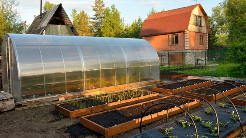 Теплица и парник: ключевые различия