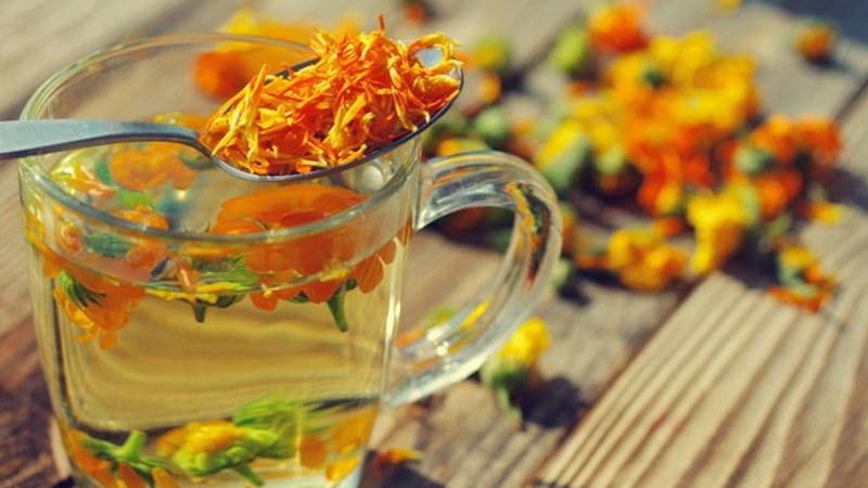 Чай из бархатцев: вкус и польза