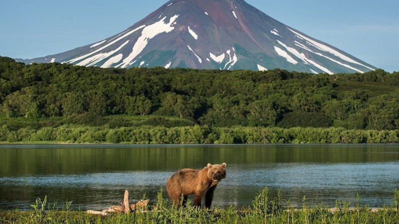 Движущаяся земля: Камчатка меняет положение
