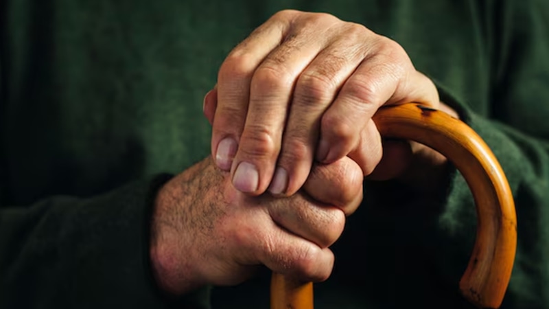 Прогноз жизни: сила интеллекта