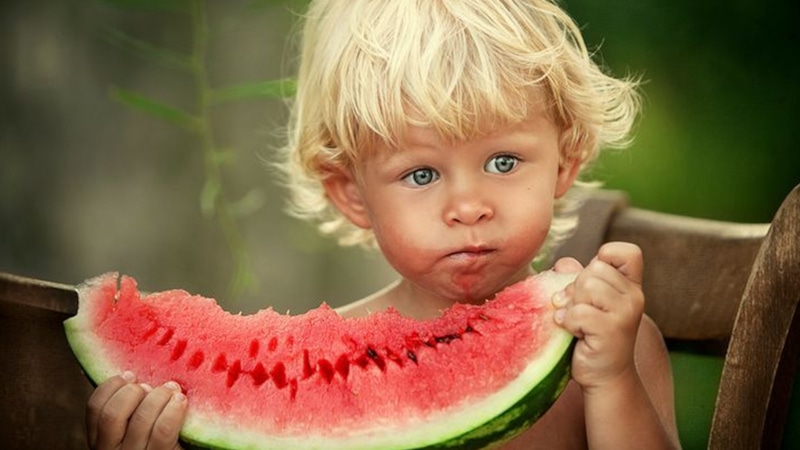 Арбузная долька: сладкая польза Арбузная долька: сладкая польза