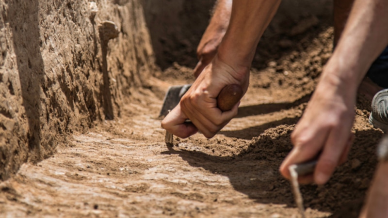 Археологическая сенсация: орудия возрастом 1 млн лет