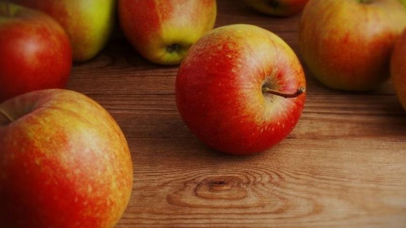 Хранение урожая: воск, земля и прочие хитрости