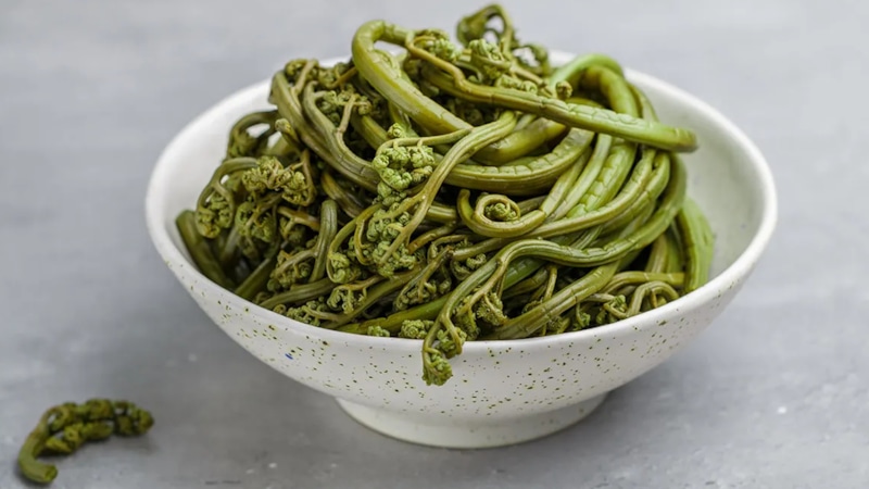 Орляк: засолка по ГОСТу