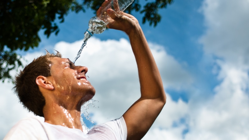 Лето без проблем: правила выживания