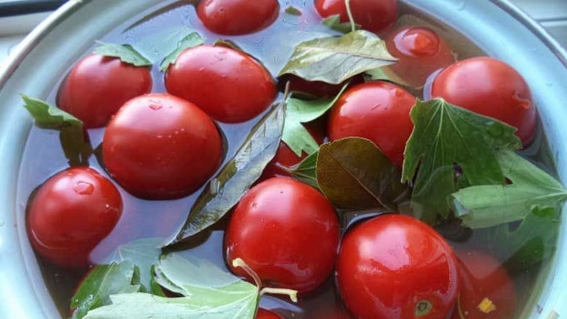 Домашняя засолка: бочковые помидоры в кастрюле