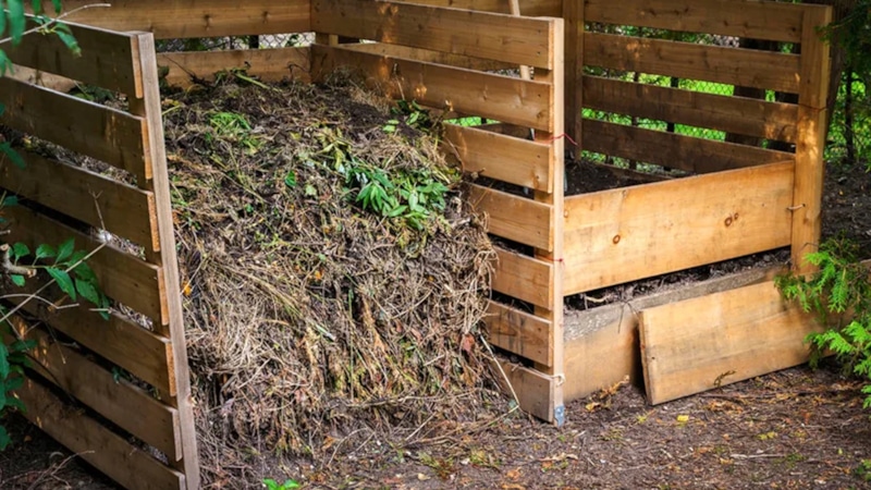 Оживление компоста: секреты правильного слоения