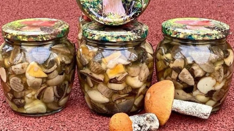 Маринованные подосиновики: лесная закуска