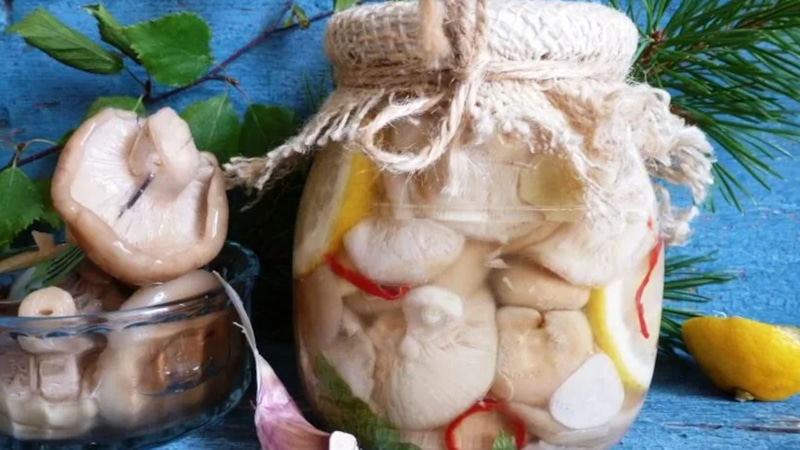 Маринованные грузди: осенняя закуска