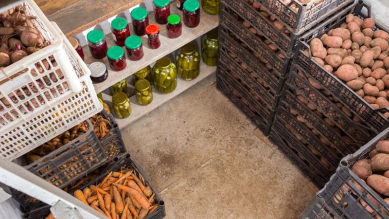 Серная шашка: гарантия сохранности урожая