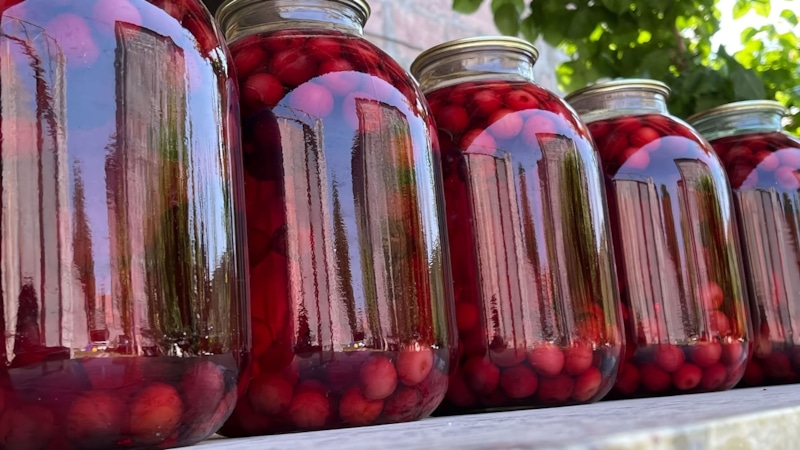 Вишневый компот: напиток для здоровья