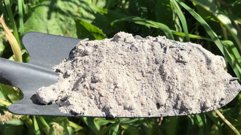 Зола на грядках: не всегда благо